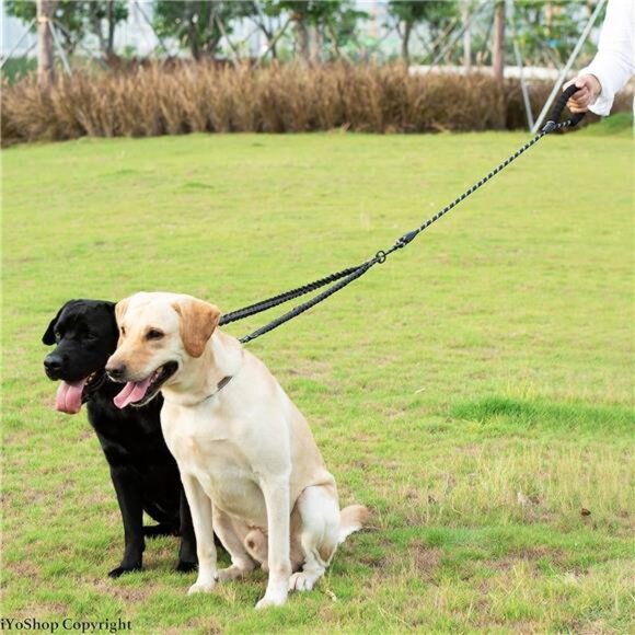 Dual Dog Leash - 360° Swivel, No Tangle Walking Leash with Shock Absorbing Bunge - Picture 6 of 7